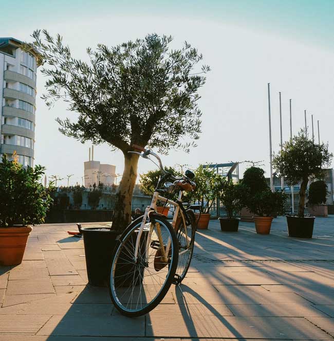 Développement durable EOL
